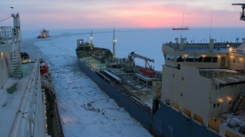 В Университете открылся Центр морских арктических компетенций