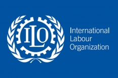 Участие в работе комитета Международной организации труда