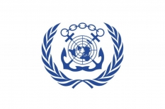 Ведется работа подкомитета ИМО